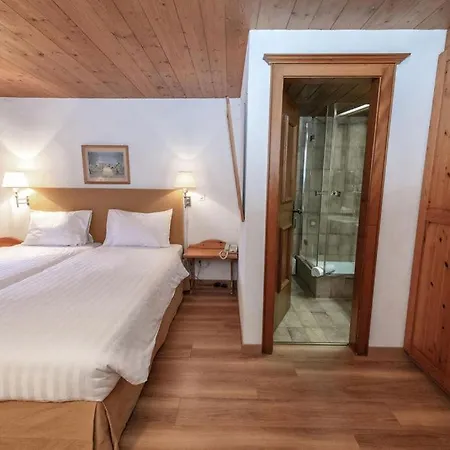 Steinbock Hotel