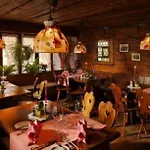 Отель Steinbock 3*