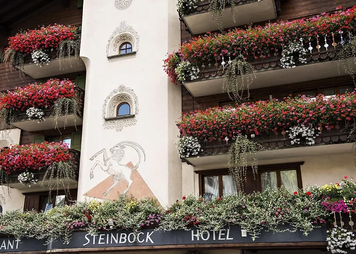 Steinbock Hotel 3*